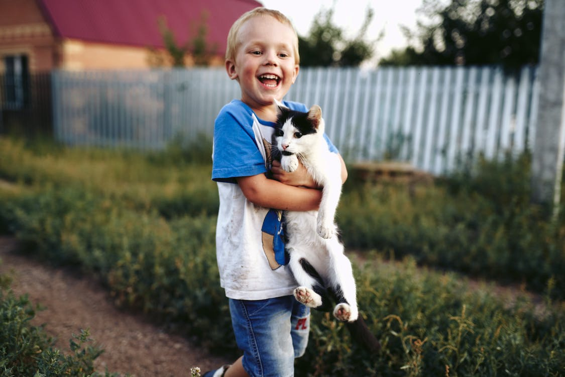 L’innocenza di un bambino e di un gatto